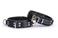 45mm Lockable Light Duty Slave Collar with 3 D~Rings