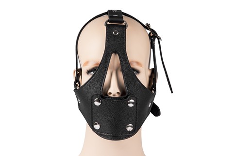 Basic Head Harness