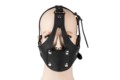 Basic Head Harness
