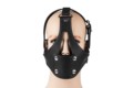 De Luxe Head Harness