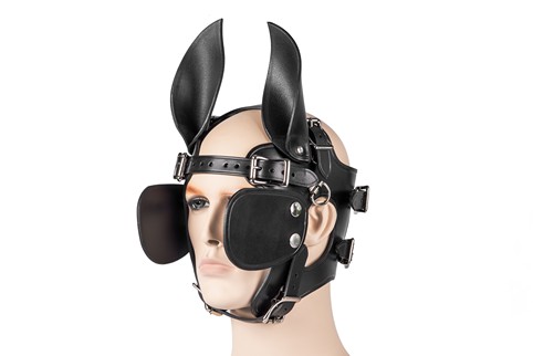 Ponyboy Ponygirl Head Harness #2