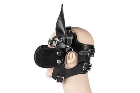 Ponyboy Ponygirl Head Harness #3