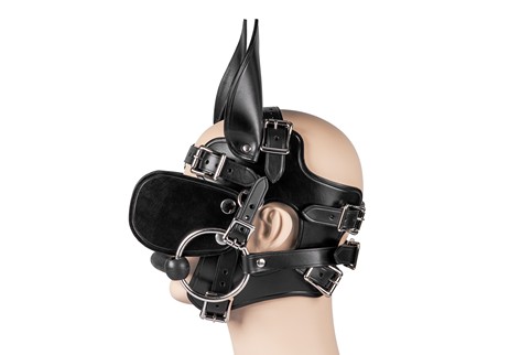 Ponyboy Ponygirl Head Harness #9