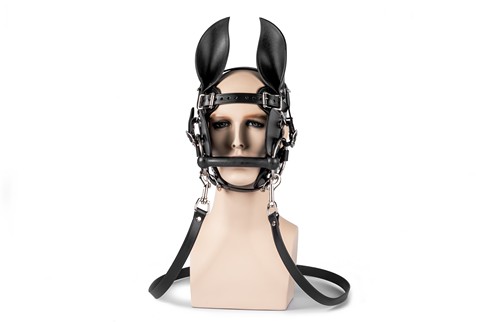 Ponyboy Ponygirl Head Harness #10
