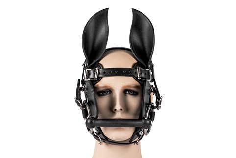 Ponyboy Ponygirl Head Harness #7