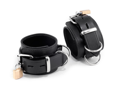 Light Duty Ankle Restraints #2
